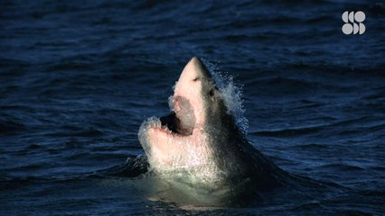 Your Menstrual Cycle Is More Than Just Your Period