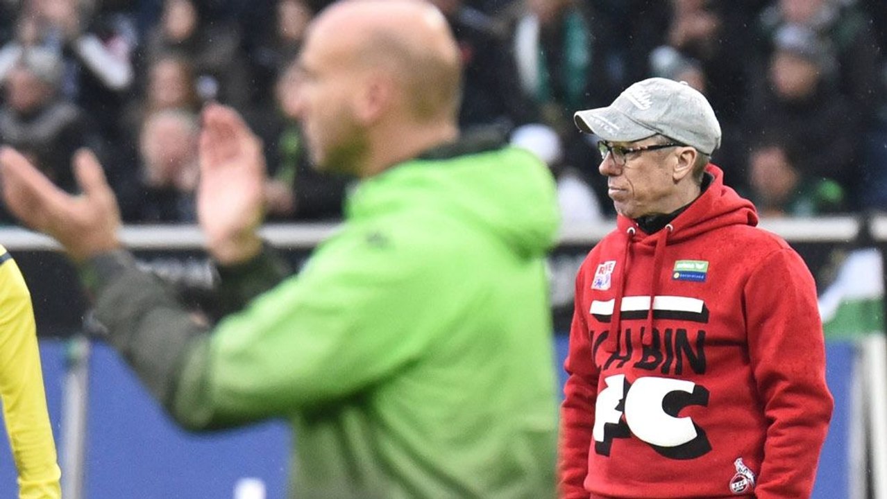 Stöger: 'Für die Bundesliga nicht ausreichend'