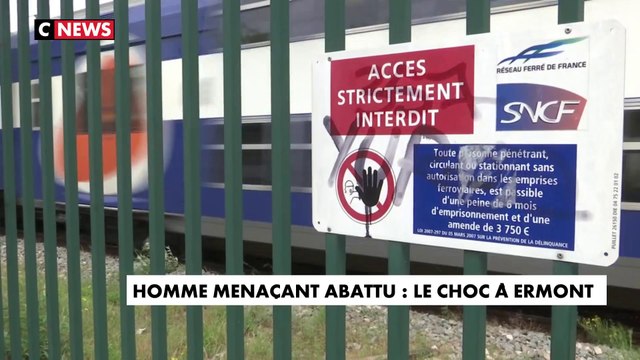 Val-d'Oise : un homme armé d'un couteau tué par la sûreté ferroviaire