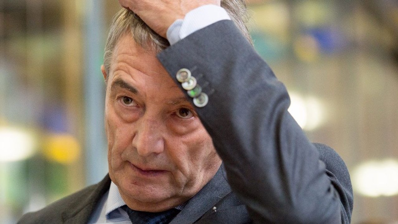 Niersbach - 'Sauber und gewissenhaft gearbeitet'