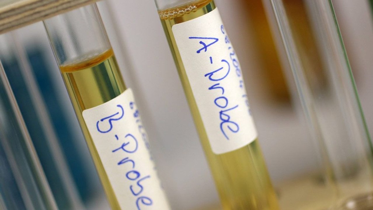 Seppelt: 'Gebt die Kontrollen in unabhängige Hände'