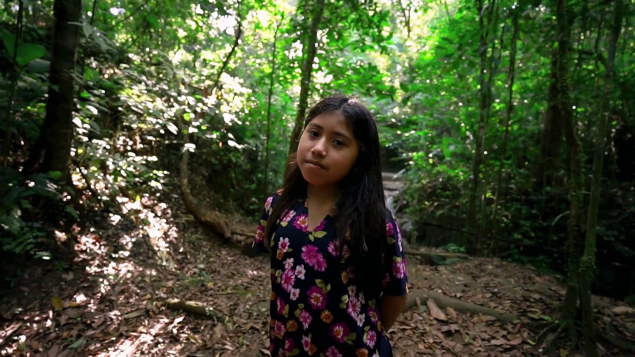 Relaxing nature sounds with piano music