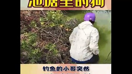 Rescue An Abandoned Puppy Was Drown In Deep Water, Come To Save On Time