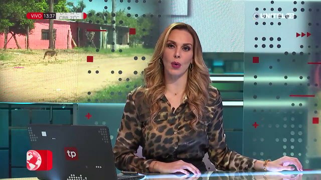 Mala señal de internet impide clases en regulares Tundi, “está pésimo”, confiesa una directora