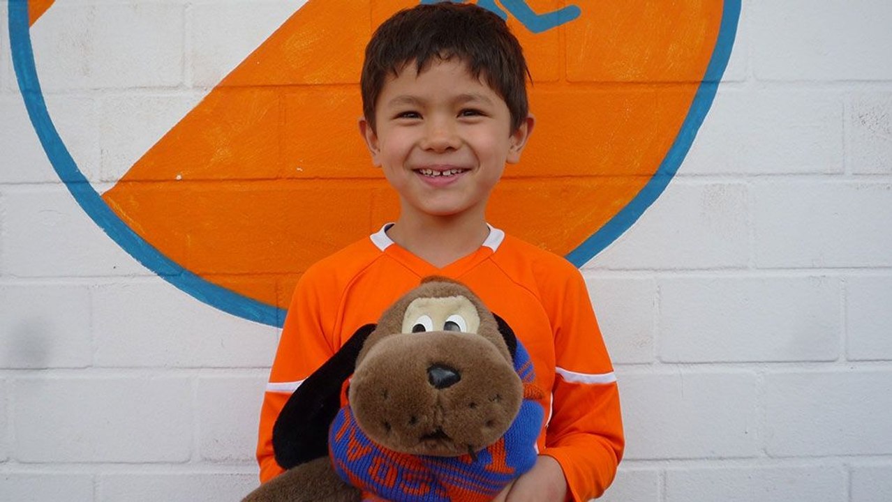 Sunny macht es mit Köpfchen