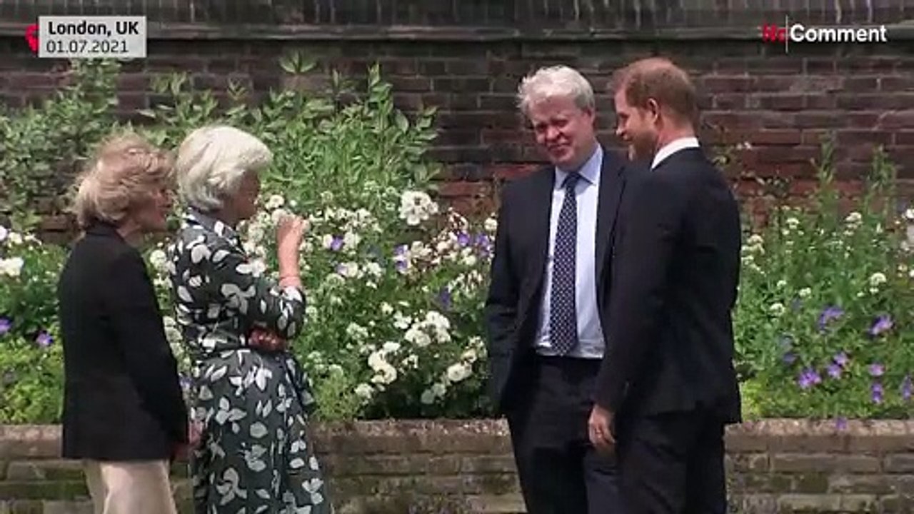 William und Harry: Im Gedenken vereint, doch die Distanz bleibt