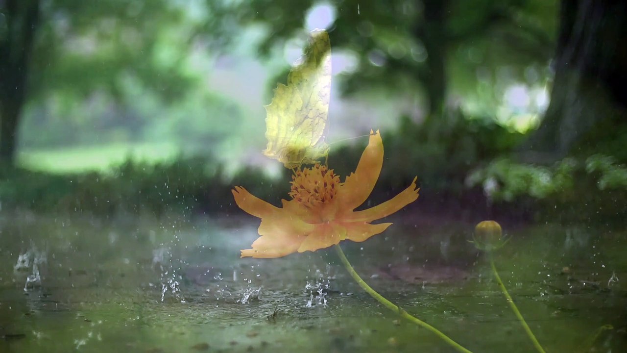 Beautiful Relaxing Music for Stress Relief • Relax, Sleep, Meditate, Study (High Above)