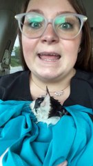 Lady Turns Around to Save Sick Abandoned Kitty