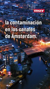 La barrera de burbujas que salva los canales de Ámsterdam