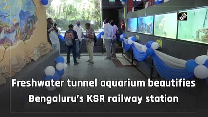 Now, a glimpse of Amazon River at Bengaluru's KSR railway station