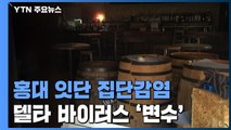 서울 홍대 술집·음식점 집단감염...델타 바이러스 확산 / YTN