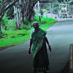 Story Of Saalumarada Thimmakka, Who Is The Mother Of More Than 8000 Trees