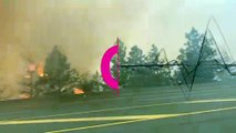 شاهد: الحرائق تلتهم الغابات في بلدة ليتون الكندية وسط موجة حر قياسية