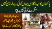 Pakistani Village Jahan Koi Be Namazi Nae, Cigarette Nae, Masjid Me Nikah & Qabrain Bhi Ek Jesi Hain