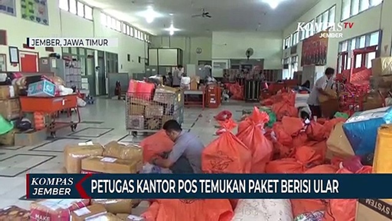 Bahaya! Paket Pos Berisi Ular, Petugas Langsung Kembalikan ke Alamat Pengirim