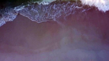 Feel the music whatsapp status