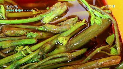 한국기행 - Korea travel_여기에서 살아볼까 5부- 너와 나의 무릉도원_#002