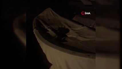 Kınalıada’da görülen su samuru vatandaşların ilgi odağı oldu