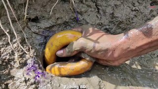 Unbelievable Oil Fishing   Boy Catching Eel From a Hole With Fishing Oil