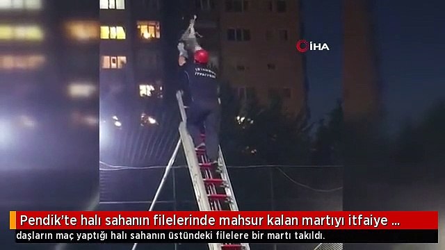 Pendik'te halı sahanın filelerinde mahsur kalan martıyı itfaiye böyle kurtardı