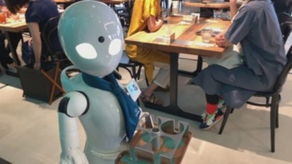 Robots para sacar del ostracismo laboral a personas con movilidad reducida