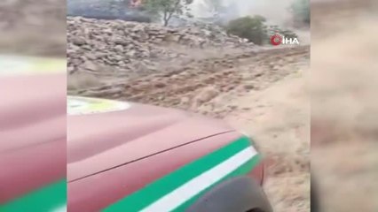 Alevlerin arasından kaçan yavru tavşanı hayata tutundurdu