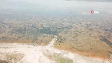 Son dakika gündem: Marmara kuruyor, canlılar ölüyor