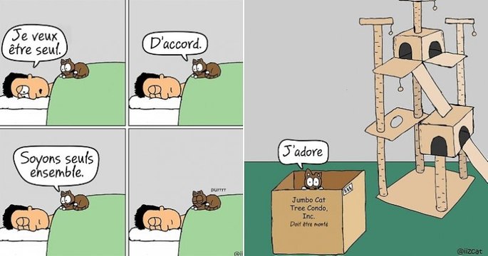 Cet illustrateur montre avec beaucoup d'humour à quel point la vie est géniale quand ton chat te laisse vivre chez lui