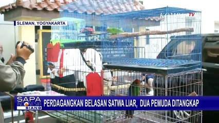Polisi Gagalkan Upaya Perdagangan Satwa yang Dilindungi, Pelaku Terancam 5 Tahun Penjara