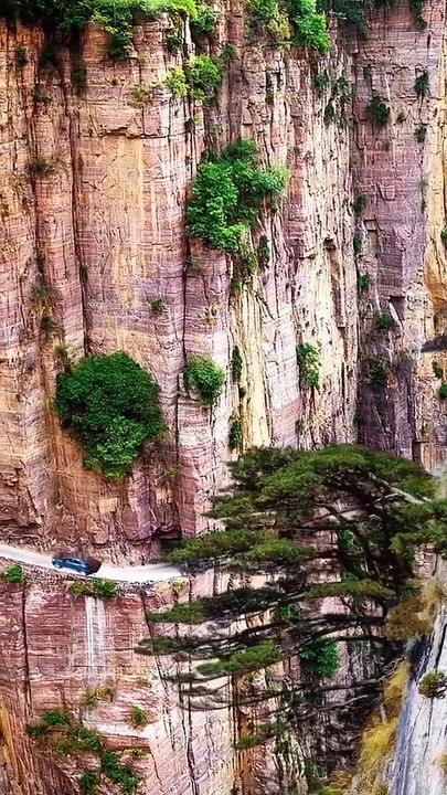 nature
