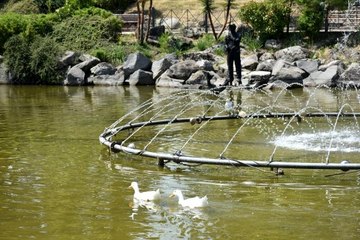 Aşırı sıcaklar Balıkesir'i bunalttı