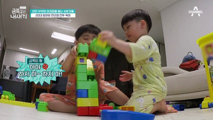 꼬마 루팡! 형의 장난감을 가져가는 금쪽이와 방어하는 형과의 블록 쟁탈전