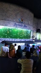 MERMAIDS SHOW OCEAN DREAM SAMUDRA ANCOL