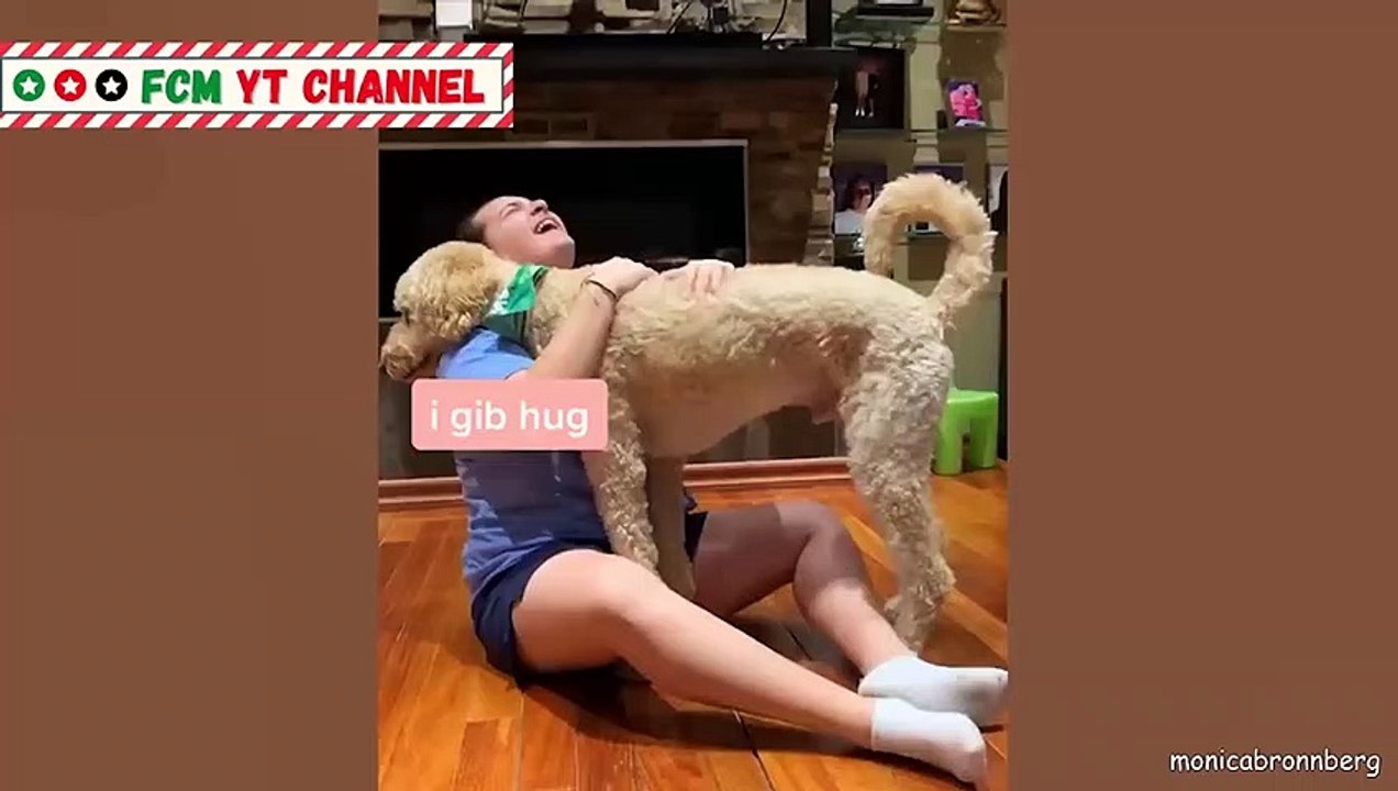 ❤️ Cute Dogs Showing Love to Their Owner  Dog really best friend of Human