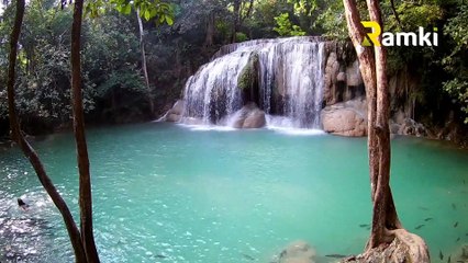 Relaxing Sleep Music - Meditation Music, Relaxing Music, Deep Sleep Instantly