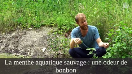 J'ai regardé "Vidéo n°5 Entreprise : Ma première faillite d | EASY MOBILIER" et d'autres vidéos