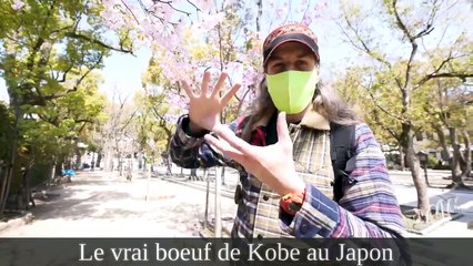 J'ai regardé "Jordan Marcia Scam Rehab | How He Was linked to The M | The Drip" et d'autres vidéos