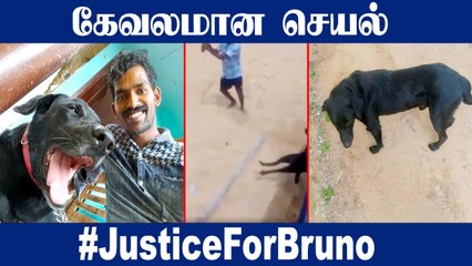 Justice For Bruno ‍ கொடூரமாக தாக்கப்பட்ட நாய் கண்டனம் தெரிவித்த பிரபலங்கள்