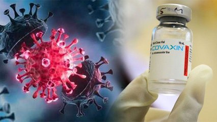 Delta Plus Variant से ये Vaccine लगवा चुके लोग हो सकते हैं Safe ! | Boldsky