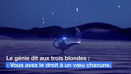 Blague : les blondes et le génie
