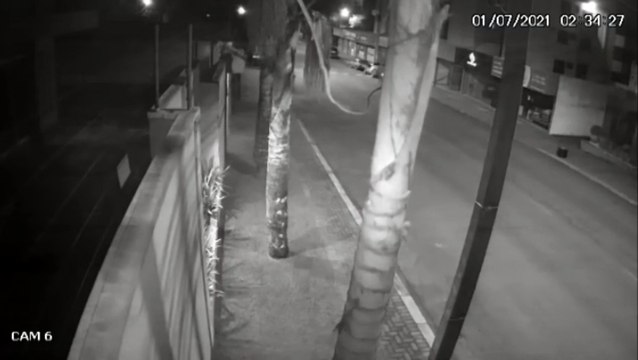 Vídeo mostra movimentação de ladrões durante arrombamento e furto a empresa de Petshop