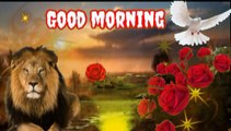 Good Morning Romantic Status Song Status | Good Morning Whatsapp Status | Good Morning gif Status