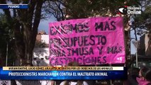 Proteccionistas marcharon contra el maltrato animal