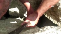 Kayalar arasına düşerek mahsur kalan keçiyi AFAD kurtardı