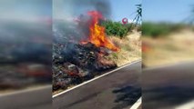 Bodrum’da otluk ve makilik alanda yangın çıktı