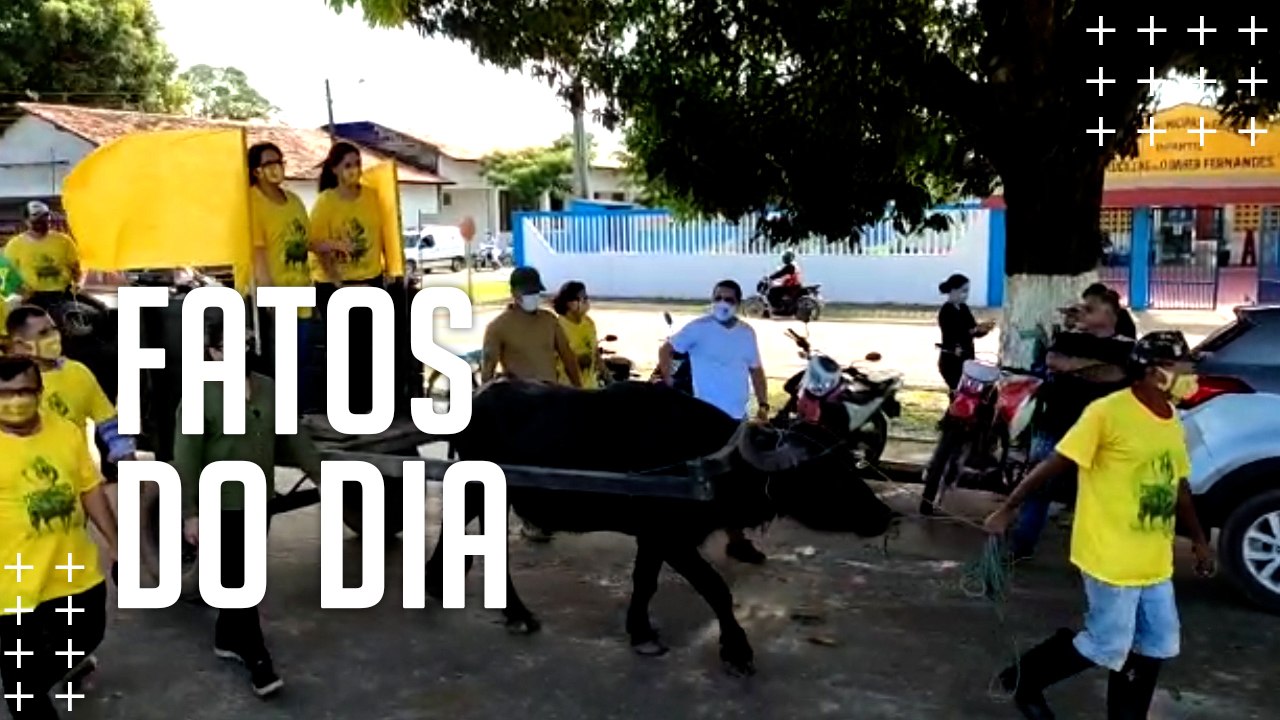 Ministra Damares circula em carroça puxada por búfalo em Soure