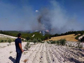 ANIZ YANGINI ORMANA SIÇRADI