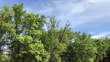 Simulation d'intervention contre un feu de forêt au camp de la Vaugine