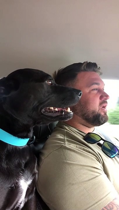 Saki The Talking Dog