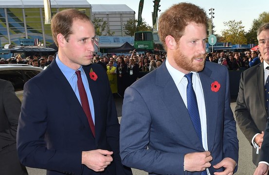 Príncipe William e Harry teriam feito as pazes após homenagem à Diana